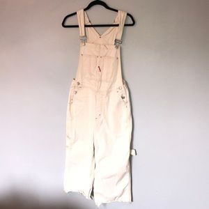 bdg darren canvas overall